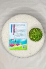 Çocuklar İçin Elifba: Hikayelerle Kur’an Okumayı Öğreniyorum - Hatice Kübra Tongar - Hayy Kitap - Görsel 9