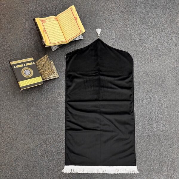 TEK RENK MODERN SECCADE