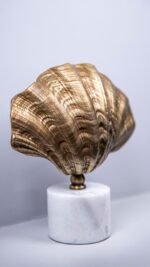 Midye Kabuk Aksesuar Eskitme - Görsel 2