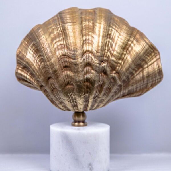 Midye Kabuk Aksesuar Eskitme